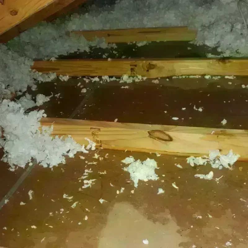 Attic Water Damage in Hyannis, NE